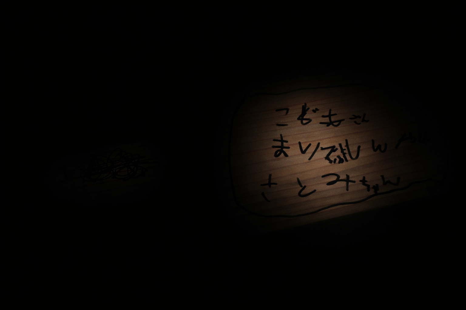 懐中電灯だけが光源